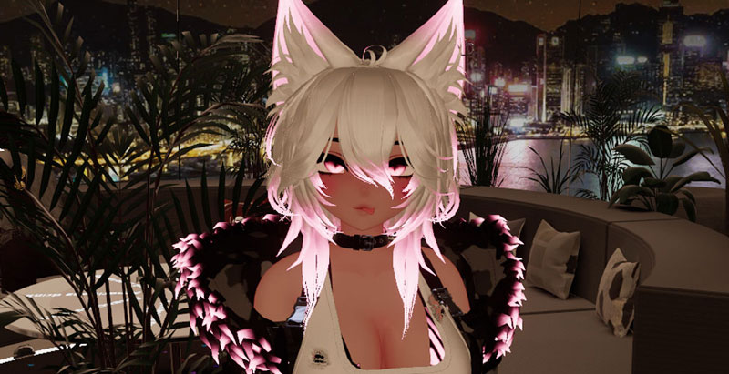 FAQ Image